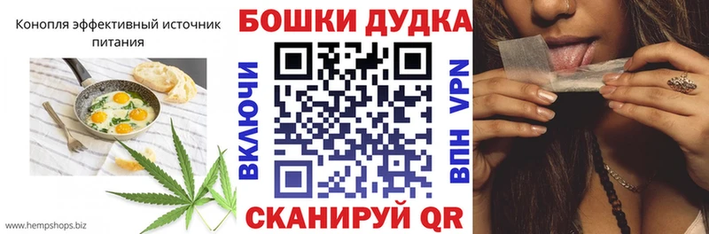 Canna-Cookies конопля  ОМГ ОМГ вход  Шагонар 