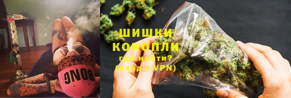 индика Белокуриха