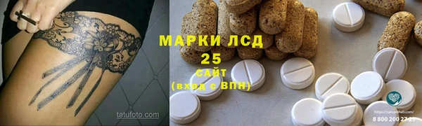 индика Белокуриха