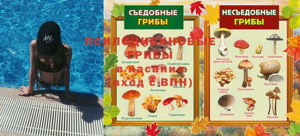 ГАЛЛЮЦИНОГЕННЫЕ ГРИБЫ Белоозёрский