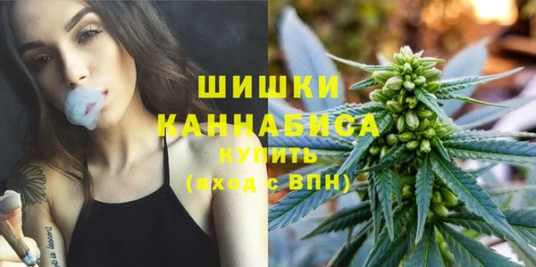 мдпв Майский