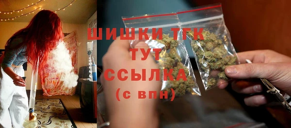индика Белокуриха