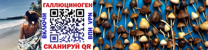 kraken ONION Шагонар Псилоцибиновые грибы ЛСД цена