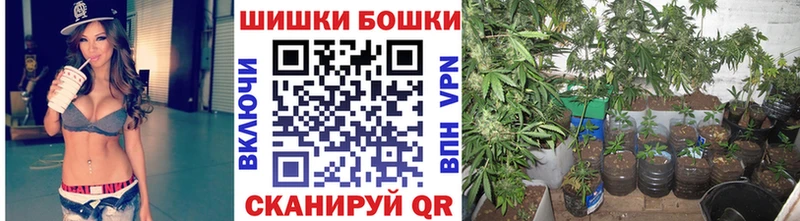 закладка  Шагонар  Канабис THC 21% 